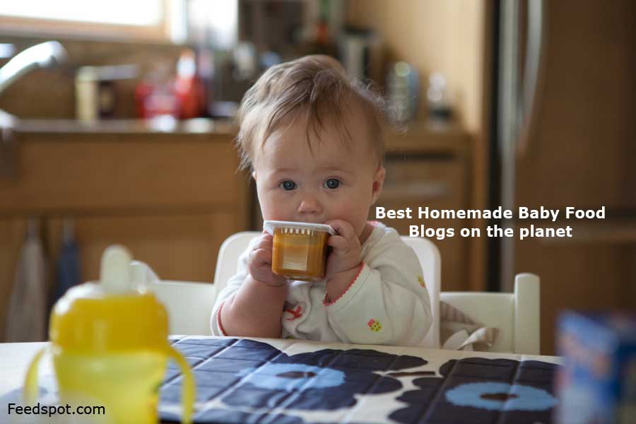 The best homemade baby food on the sales planet